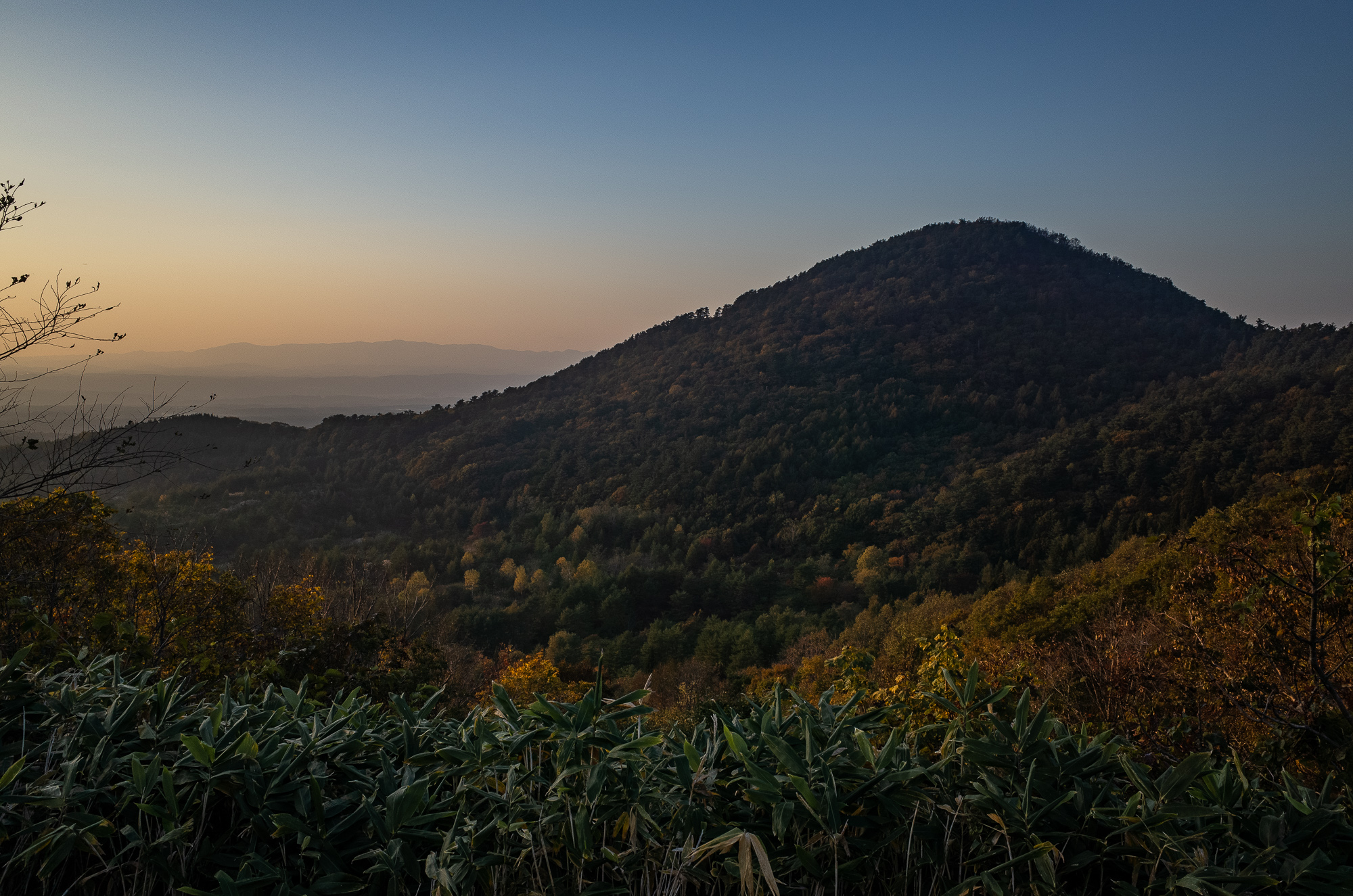 日々のこと、2018年10月30日